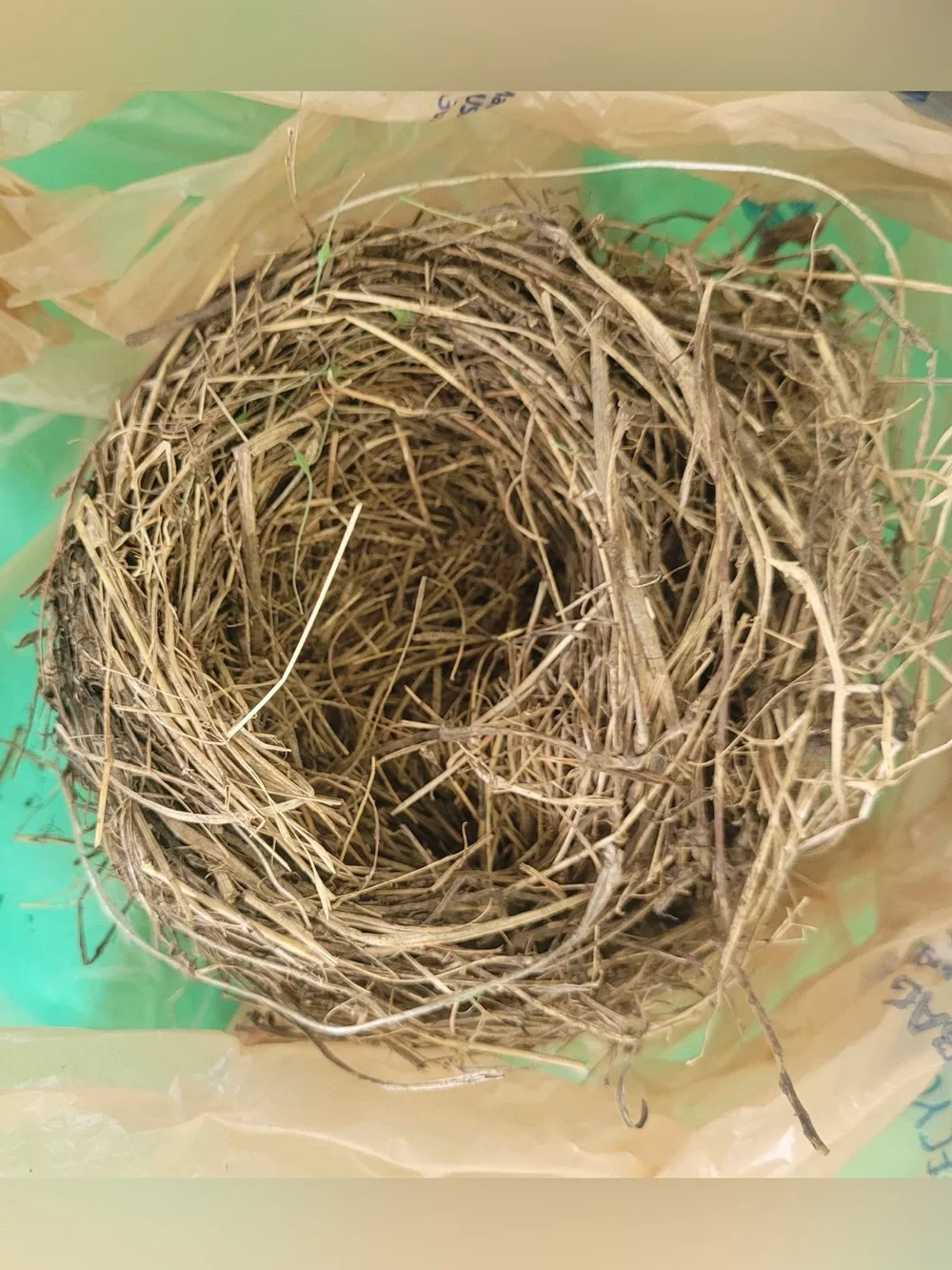 Bird Nest organic material fallen nest “ put a bird on it” natural decoration